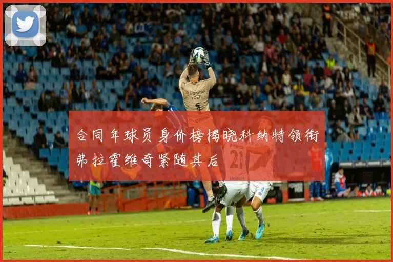 合同年球员身价榜揭晓科纳特领衔弗拉霍维奇紧随其后