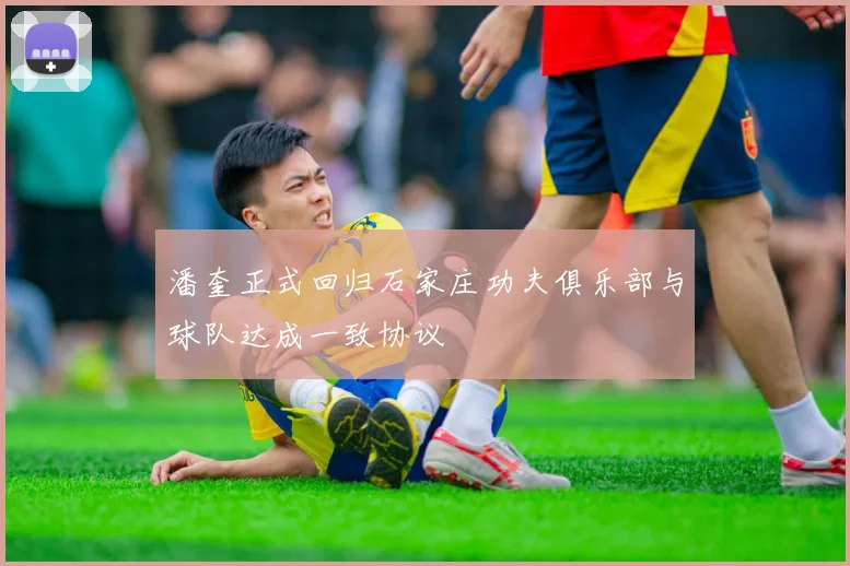 潘奎正式回归石家庄功夫俱乐部与球队达成一致协议