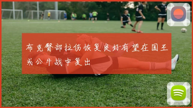 布克臀部拉伤恢复良好有望在国王或公牛战中复出