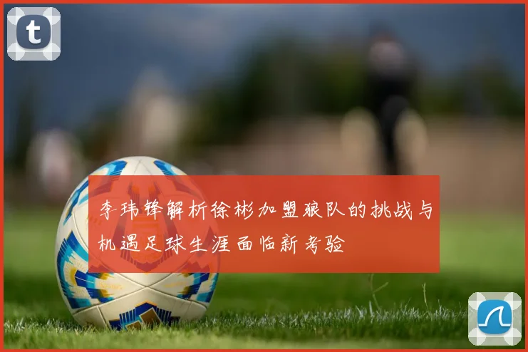 李玮锋解析徐彬加盟狼队的挑战与机遇足球生涯面临新考验