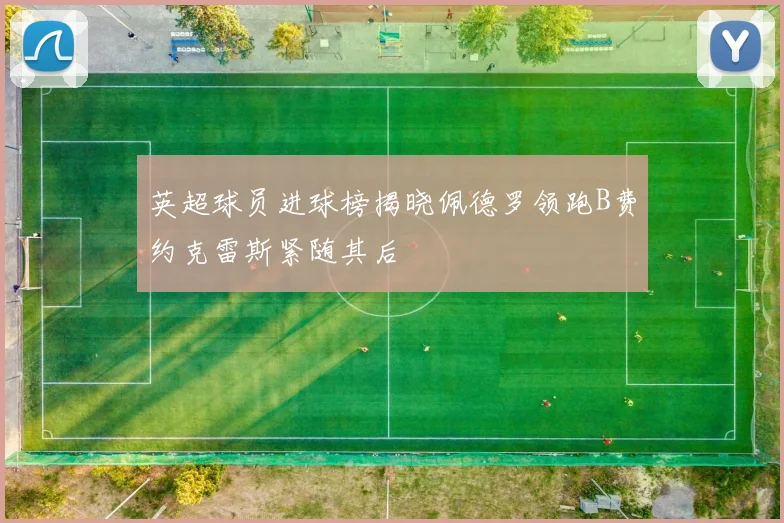 英超球员进球榜揭晓佩德罗领跑B费约克雷斯紧随其后