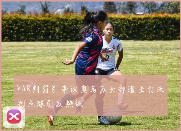 VAR判罚引争议奥乌苏头部遭击打未判点球引发热议